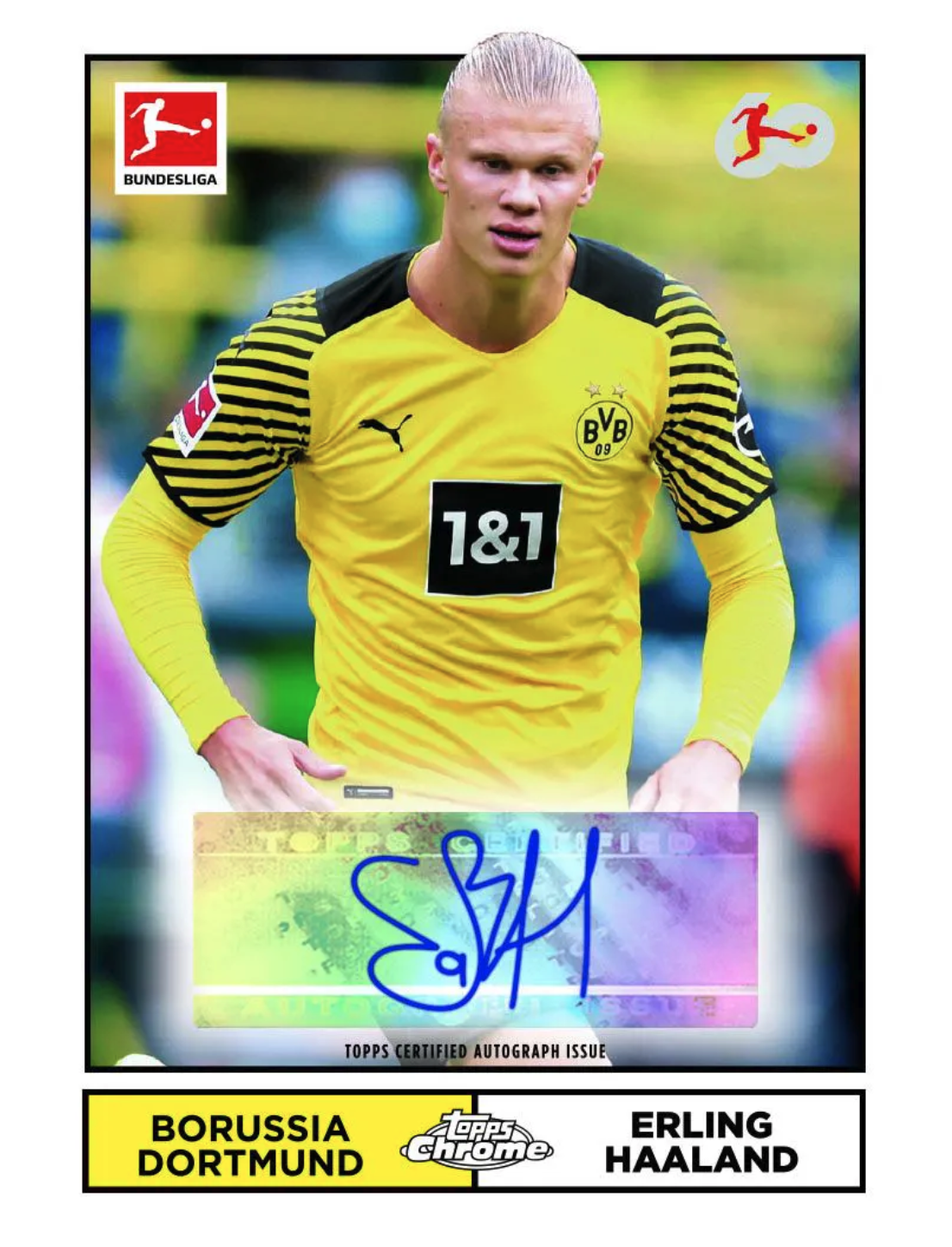 マグホ発送panini エデンアザール サインカード 希少 エデン